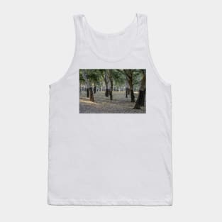 Canberra Cork Plantation 01 Tank Top